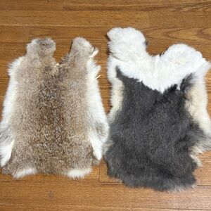 0818 set rabbit pelts